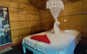 Hampi Nature Cottage